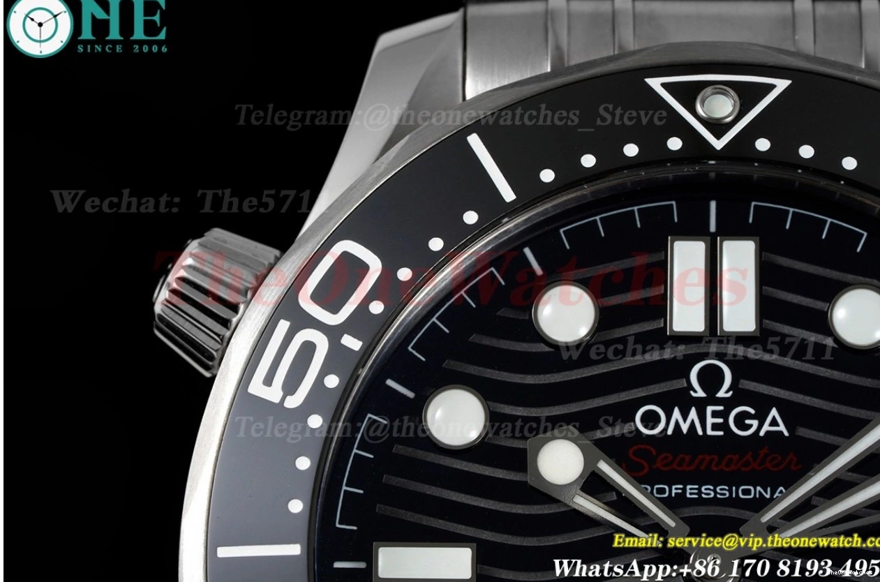 8800 Asia 300m SS 2018 Seamaster ORF Black SS 0113